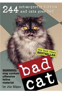 Bad Cat: 244 Not-So-Pretty Kitties And Cats Gone Bad