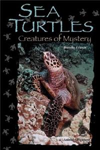 Sea Turtles