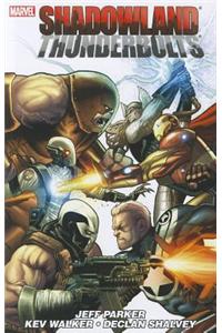 Shadowland: Thunderbolts