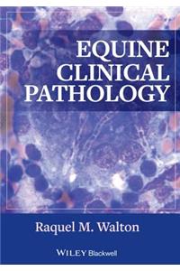 Equine Clinical Pathology