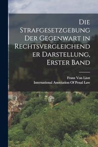 Strafgesetzgebung der Gegenwart in Rechtsvergleichender Darstellung, Erster Band