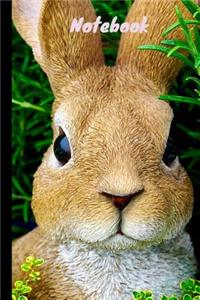 Bunny Notebook