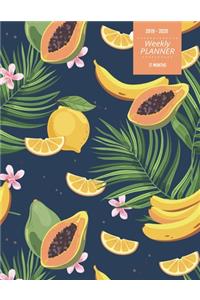 2019 - 2020 - Weekly Planner - 17 Months