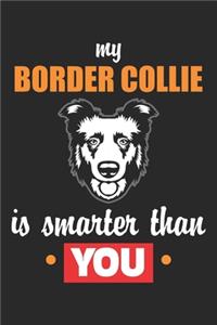 My Border Collie is smarter than you