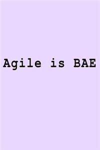 Agile is BAE