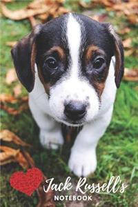 Jack Russell Notebook