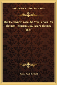 Der Heerwurm Gebildet Von Larven Der Thomas-Trauermucke, Sciara Thomae (1854)