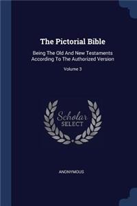 Pictorial Bible: Being The Old And New Testaments According To The Authorized Version; Volume 3