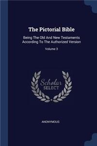 Pictorial Bible