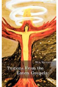 Tuitions from the Eaten Gospels