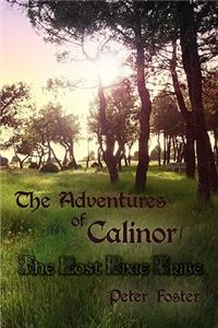 Adventures of Calinor / The Lost Pixie Tribe