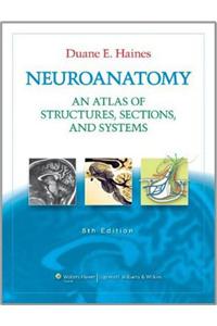 Neuroanatomy