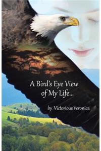 Bird's Eye View of My Life