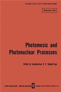 Photomesic and Photonuclear Processes