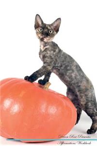 Devon Rex Affirmations Workbook Devon Rex Presents