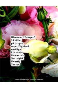 Blommor i Fotografi 25 bilder på papper super Digitized ensidiga Lockande Romantisk Nostalgisk Konstig Vacker