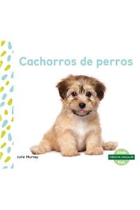 Cachorros de Perros (Puppies)