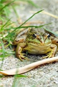 Frog in the Garden Journal