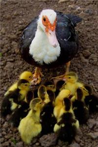 Mama Duck and her Baby Ducklings Journal