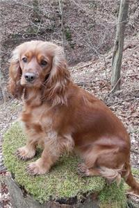 Beautiful English Cocker Spaniel Dog Journal