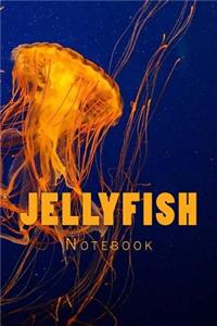 Jellyfish