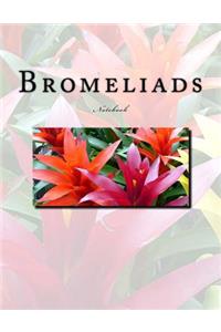 Bromeliads Notebook