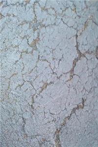 Wet Blacktop Journal