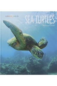 Sea Turtles