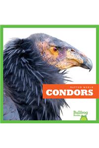 Condors