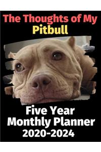 The Thoughts of My Pitbull