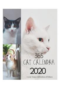 365 Cat Calendar 2020