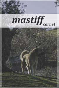 mastiff carnet