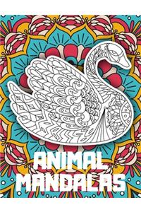 Animal Mandalas