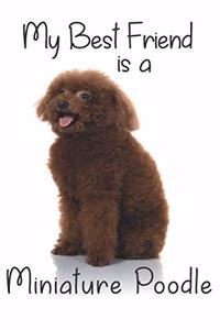 My best Friend is a Miniature Poodle