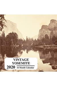 Vintage Yosemite 2020