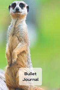 Bullet Journal