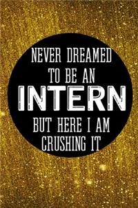 Never Dreamed To Be an Intern But Here I Am Crushing It