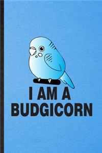 I Am a Budgicorn