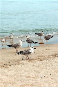 Seagulls on the Shore of the Black Sea Journal