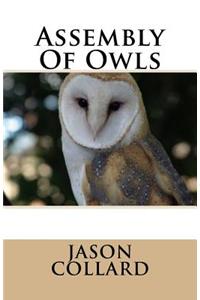 Assembly of Owls