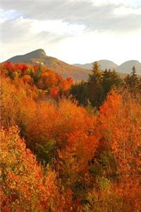 Fall 2019 Daily Planner Beautiful Mountain Scene 384 Pages