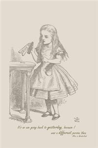 It's No Use Going Back to Yesterday, Because I Was a Different Person Then. Alice in Wonderland