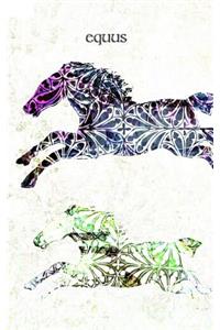 Equus