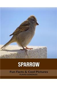Sparrow: Fun Facts & Cool Pictures
