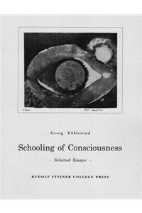 Schooling of Consciousness