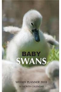 Baby Swans Weekly Planner 2018