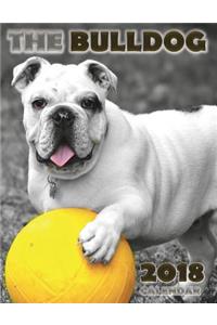 The Bulldog 2018 Calendar (UK Edition)