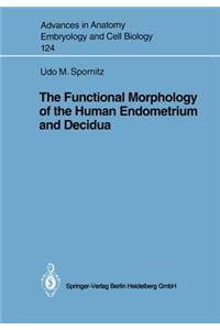 Functional Morphology of the Human Endometrium and Decidua