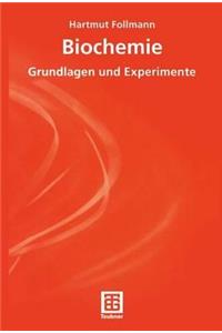 Illegale Transaktionen Und Staatliches Handeln