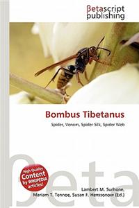 Bombus Tibetanus